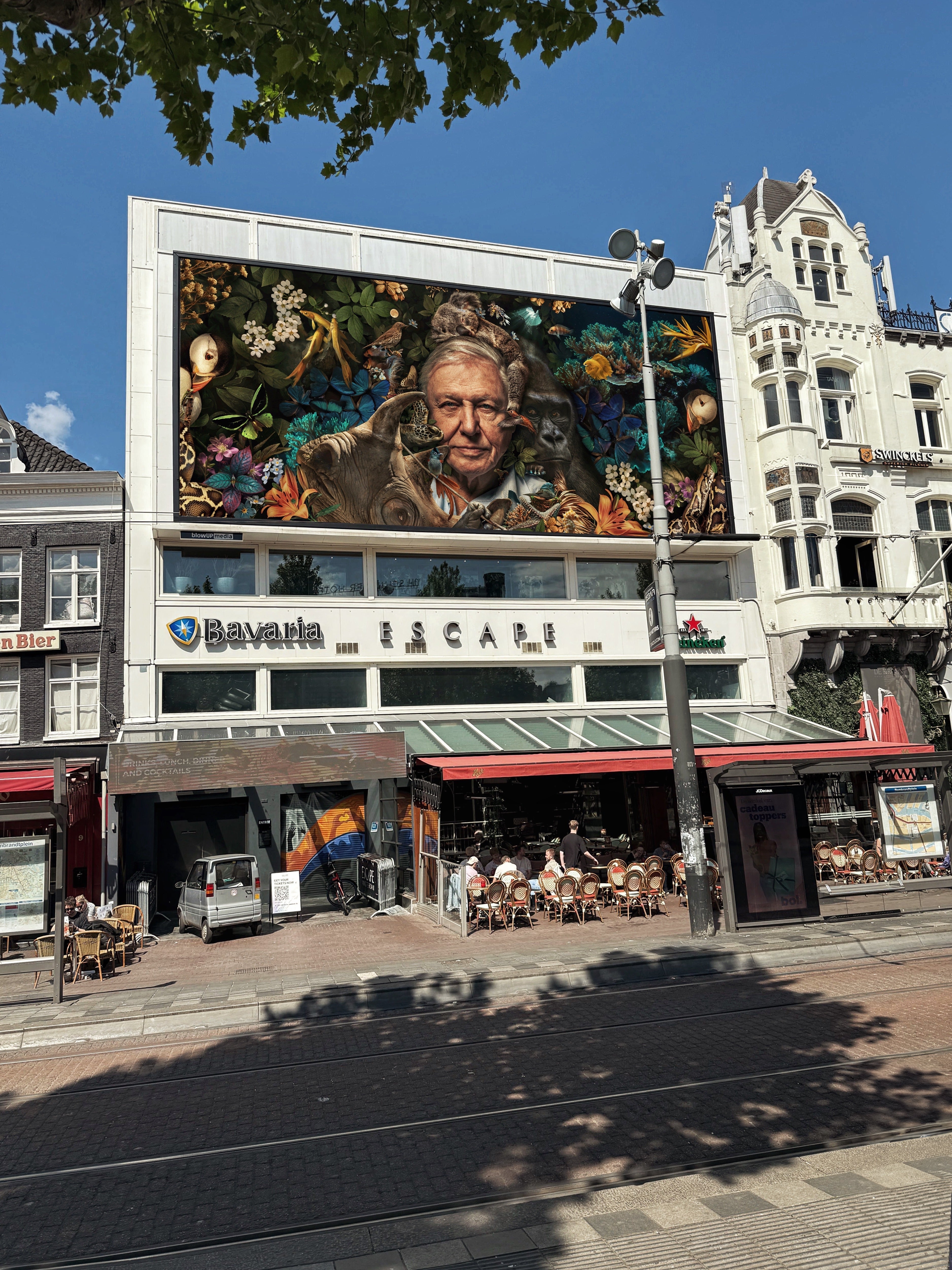 Tribute to David Attenborough 99th birthday