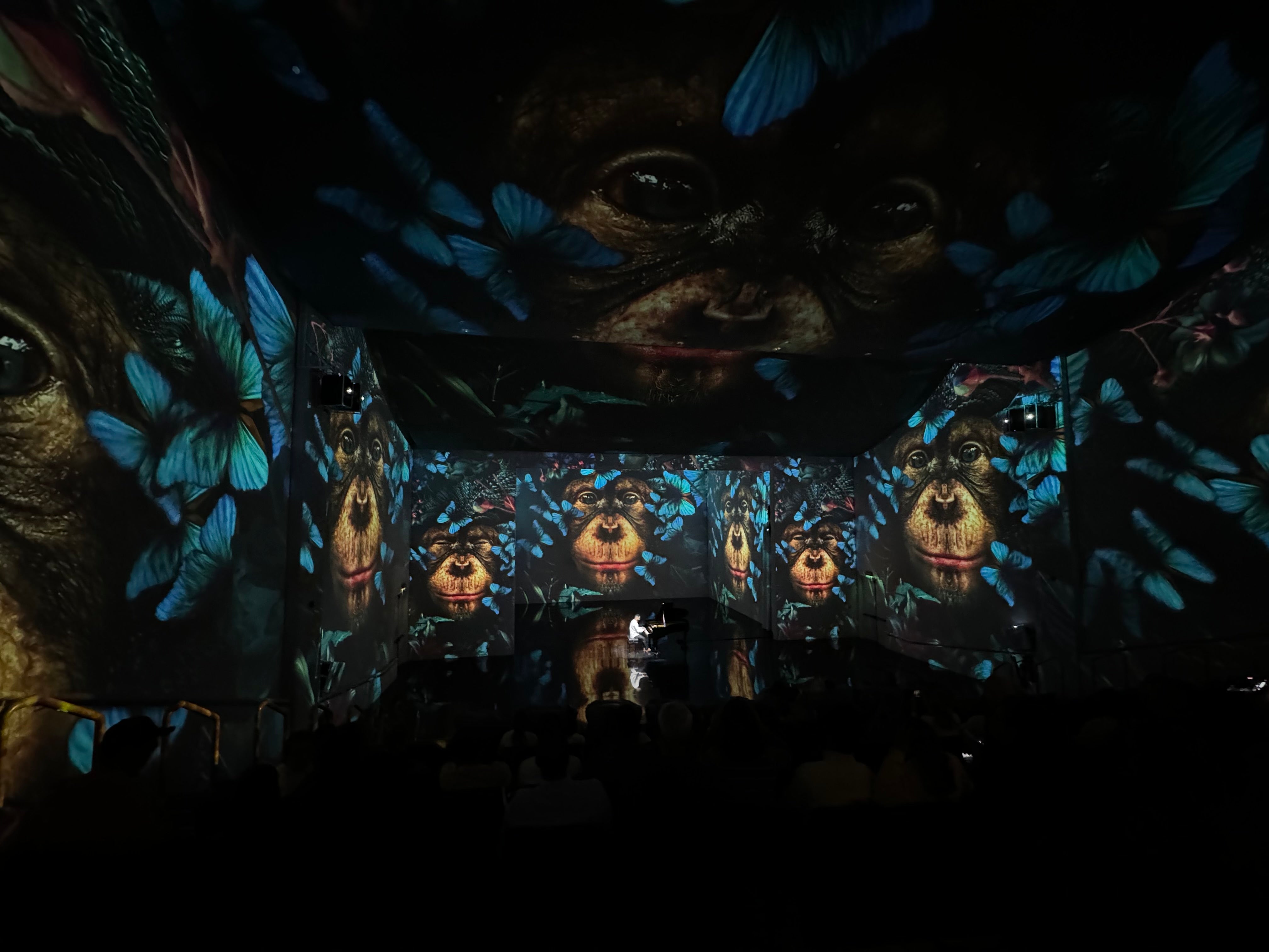 Toda Dubai 360° art show