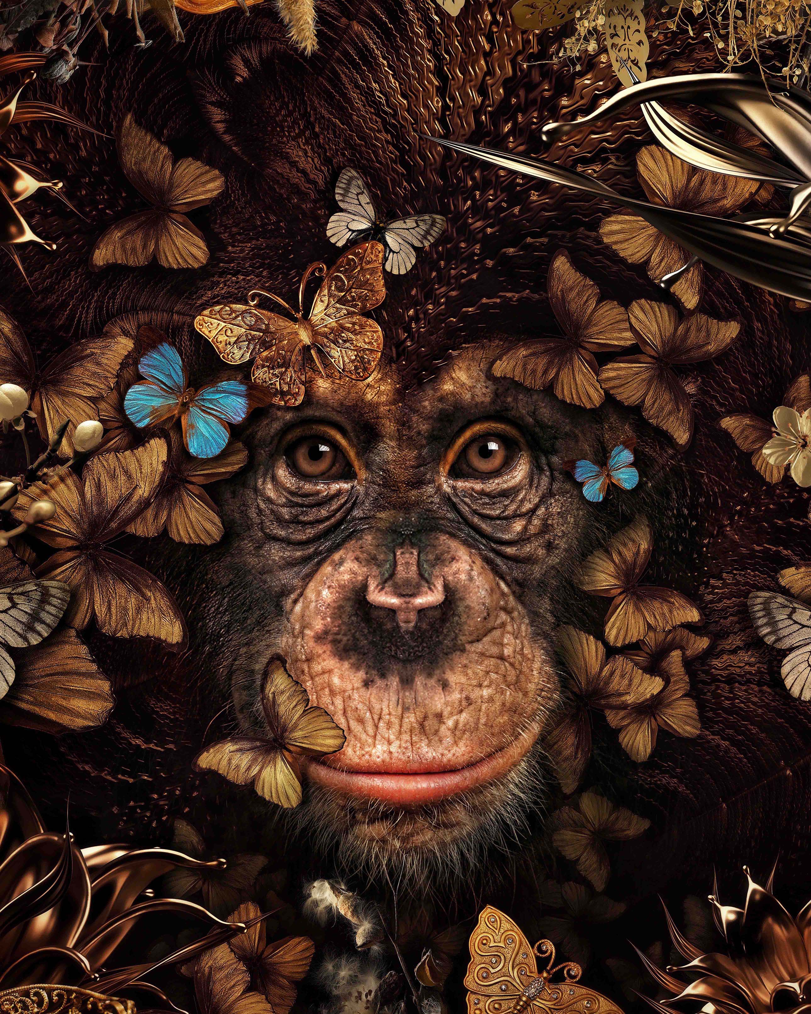 Fine Art Print Jan - 60 x 75 cm