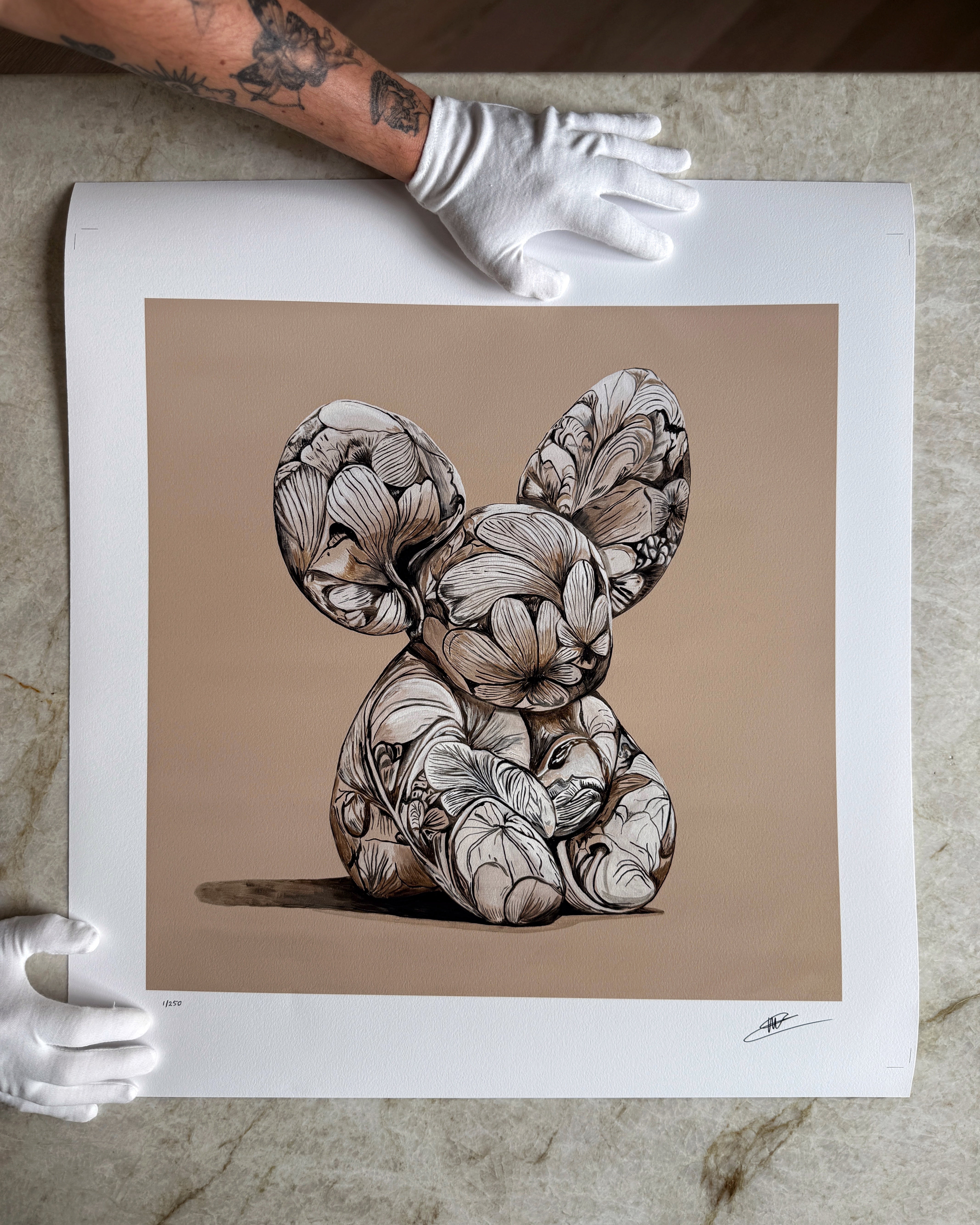 Willow -  Signed Fine Art Print